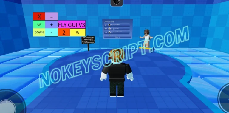Needoh Tower Script Fly GUI V3 – NO KEY