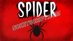 Spider