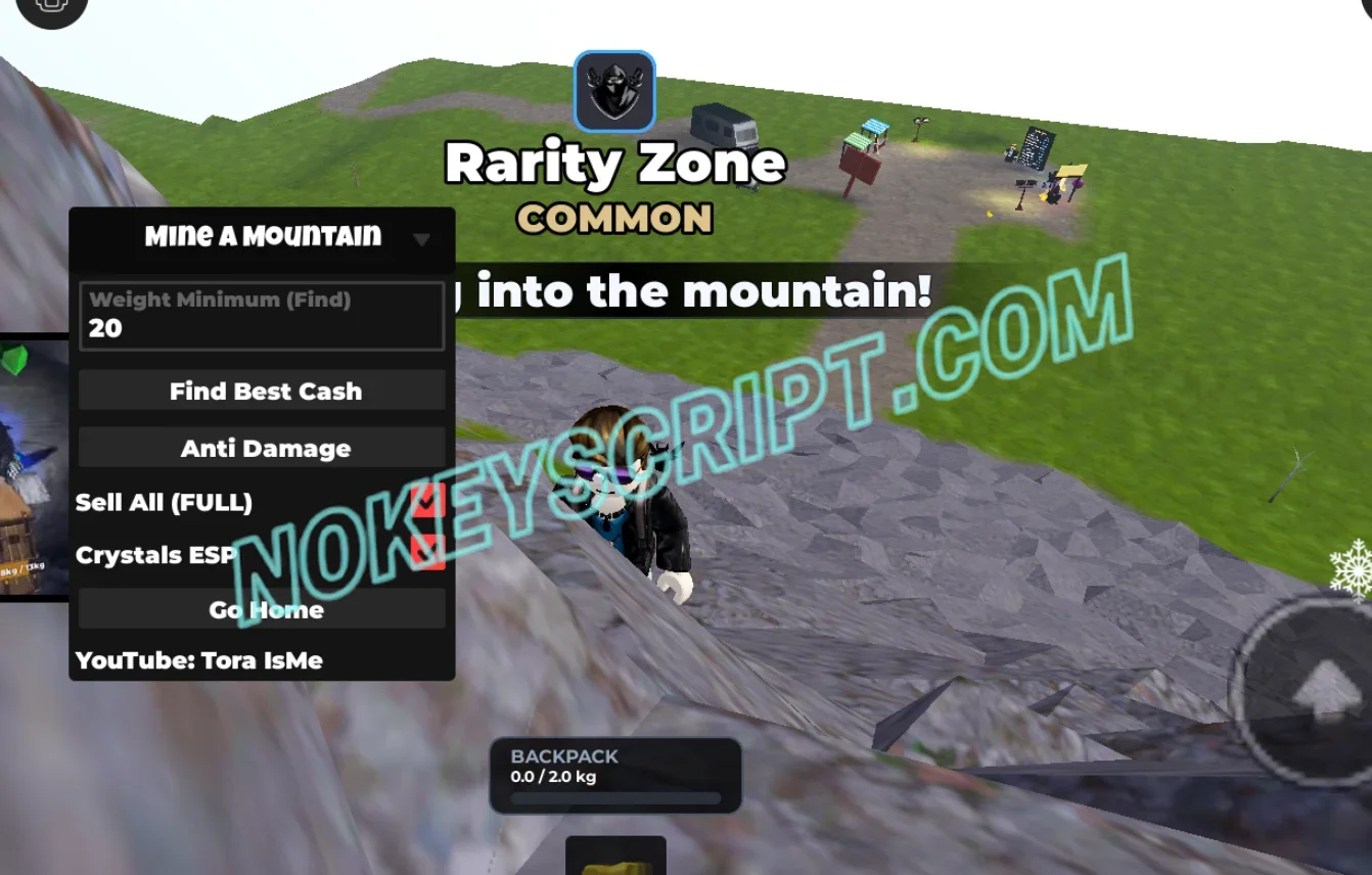 Mine a Mountain Script Tora IsMe [No Key] – Anti Damage