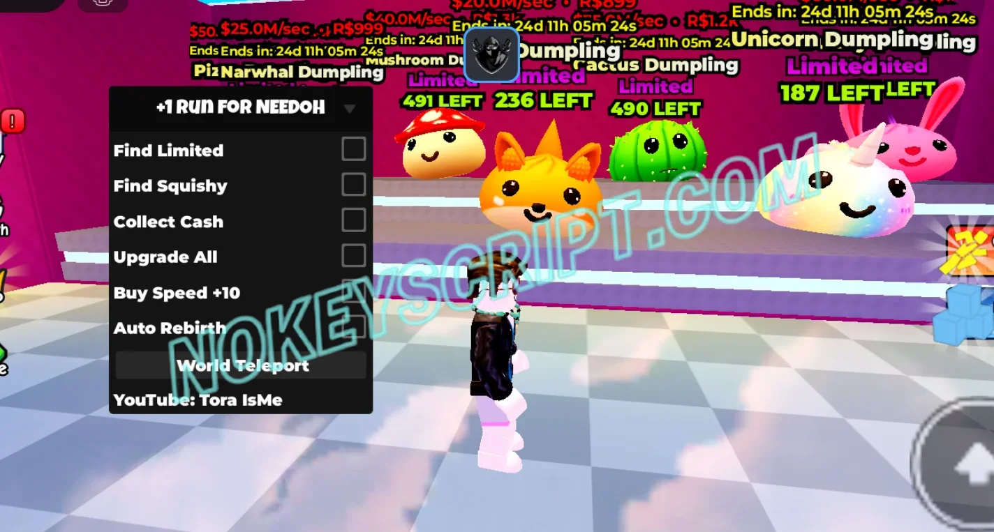 +1 Run for NEEDOH Script Tora IsMe [No Key] – Find Squishy